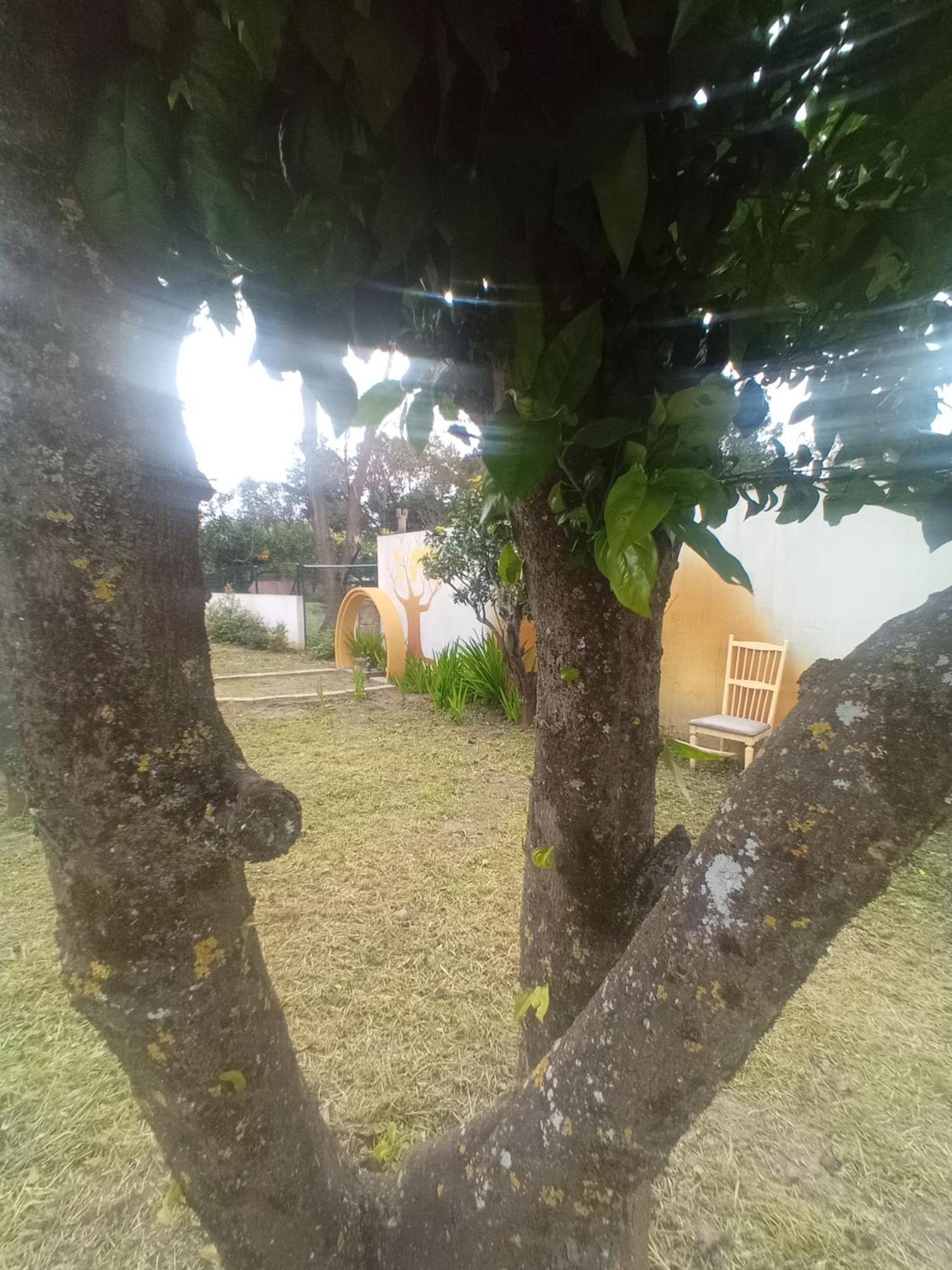 Vila O Mundo Da Lua Azeitão Exteriér fotografie