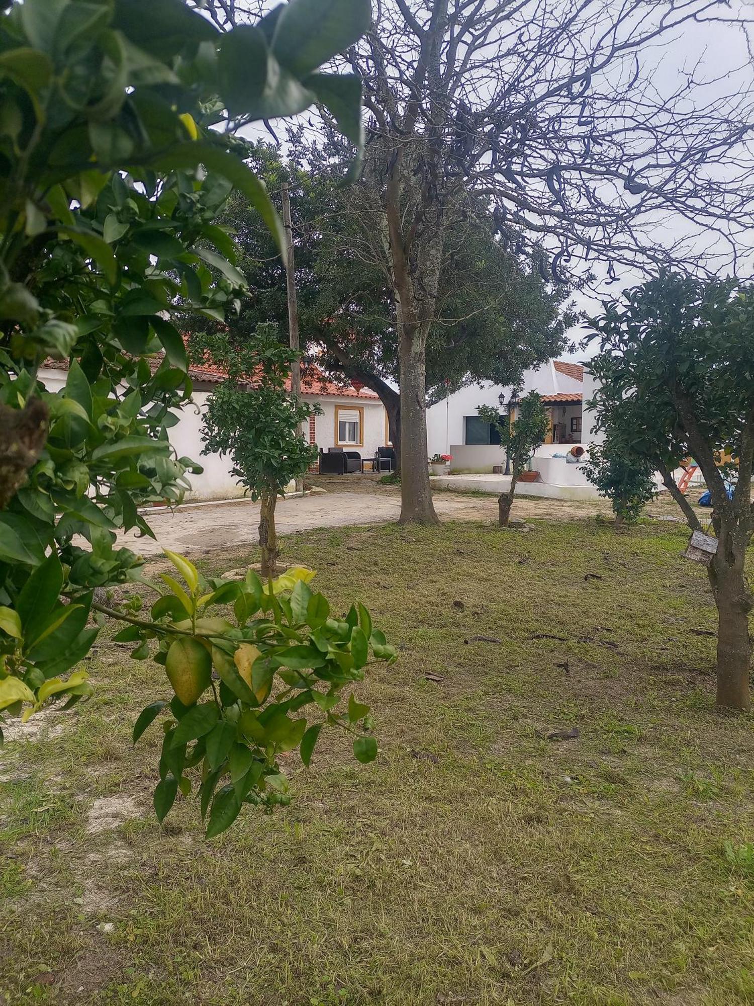 Vila O Mundo Da Lua Azeitão Exteriér fotografie