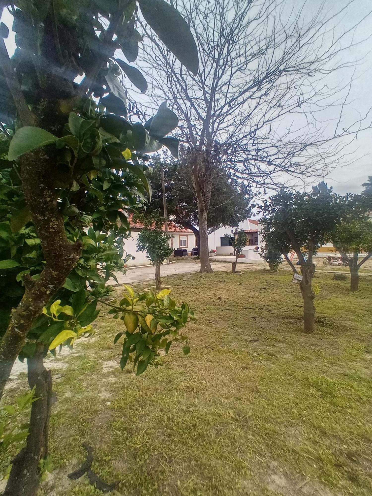 Vila O Mundo Da Lua Azeitão Exteriér fotografie