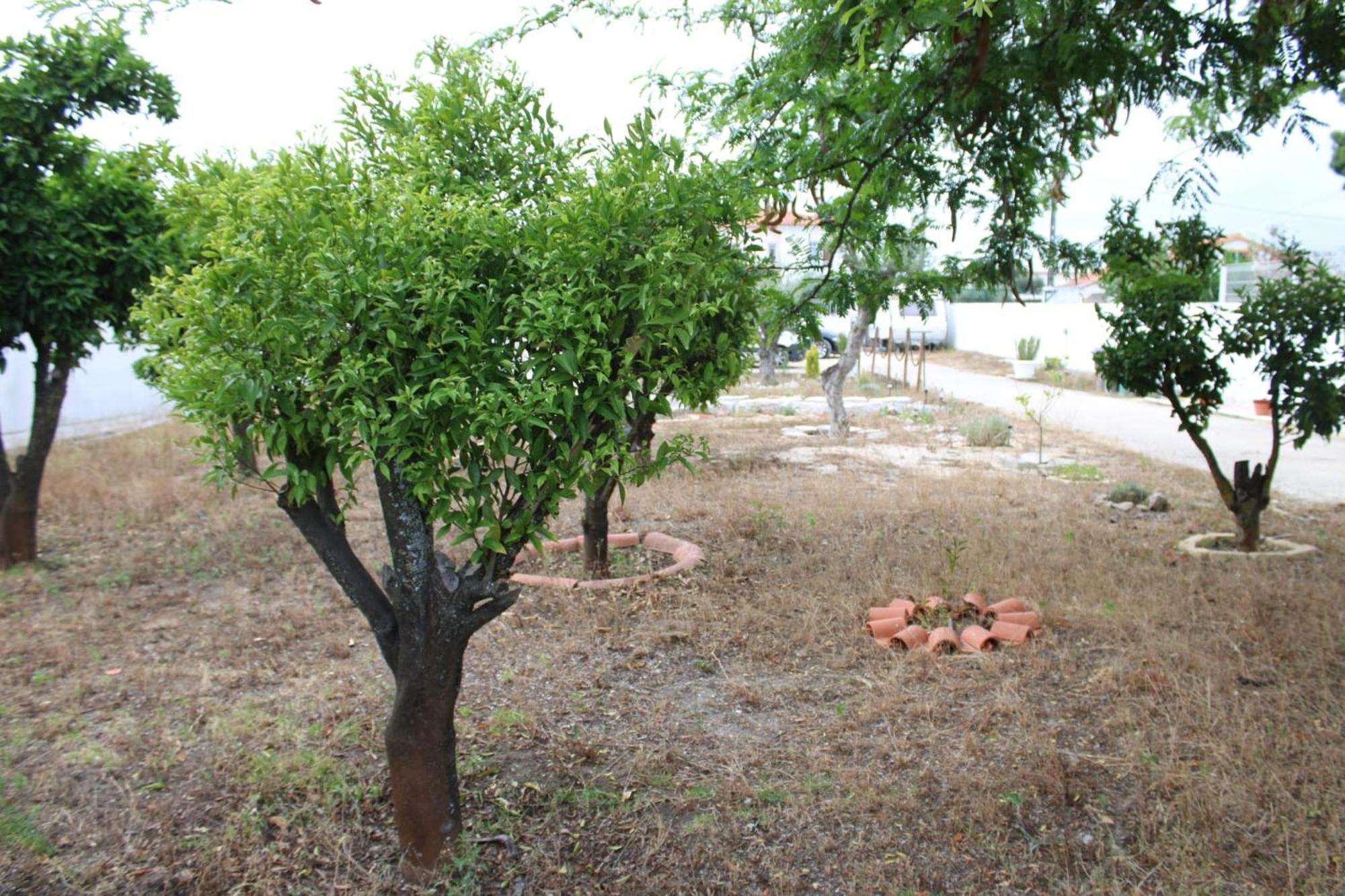 Vila O Mundo Da Lua Azeitão Exteriér fotografie