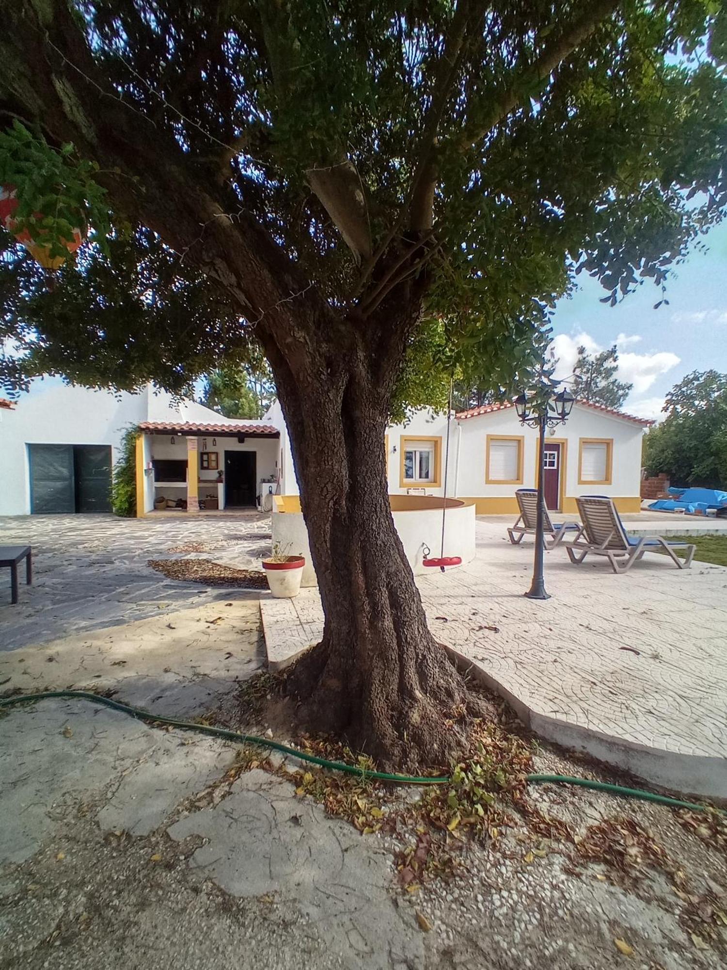 Vila O Mundo Da Lua Azeitão Exteriér fotografie